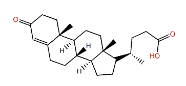 3-oxo-Chol-4-en-24-oic acid